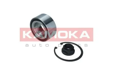 Подшипник ступицы KAMOKA 5600154