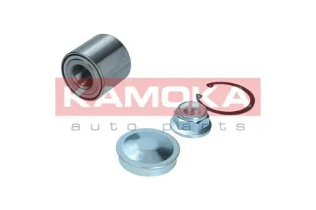 Підшипник маточини (задньої) Renault Megane II/Scenic II (25x55x48) KAMOKA 5600216 Купити в Україні