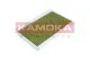 Фільтр салону Land Rover Discovery 04-/Range Rover Sport 3.0-5.0 05- (вугільний) KAMOKA (6080094) зображення 3