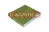 Фото Фільтр салону Nissan Almera/Primera/Tino 00-/Lexus GS/IS/RC 12- (вугільний) KAMOKA (6080183) зображення 1