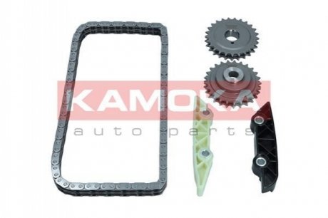 Комплект ланцюга ГРМ Citroen Jumper/Fiat Ducato/Peugeot Boxer 3.0D 06- (z=120/82) (симплекс) KAMOKA 7001619