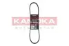 Фото Ремень клиновый 4PK855 Citroen Berlingo/Peugeot Partner 1.1/1.4/1.6 96- KAMOKA (7014033) изображение 1