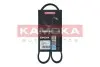 Ремінь генератора Ford Focus 1.6i KAMOKA (7015015) зображення 1