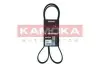 Ремінь генератора Mitsubishi Space Runner/Wagon 2.0/2.4 GDI 99-04 KAMOKA (7015066) зображення 1