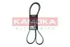 Фото Ремінь генератора Renault Kangoo 1.4/1.6i, 97 KAMOKA (7015079) зображення 1