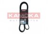 Ремінь клиновий 5PK1800 Hyundai Accent/Kia Rio 1.5 CRDi 05- KAMOKA 7015081 (фото 1)