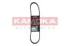 Фото Ремінь генератора Citroen Berlingo/Peugeot Partner 1.6HDI/ Ford Fiesta/Focus 1.4-1.6 TDCi 01 KAMOKA (7016009) зображення 1