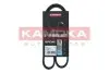 Ремінь генератора Fiat Scudo/Peugeot Expert 1.6 96-06 KAMOKA (7016017) зображення 1