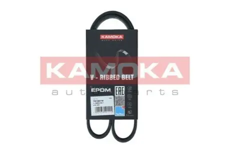Ремінь генератора VW Caddy III/Fiat Ducato 1.6/2.5TDI 94-02 KAMOKA 7016019 Купити в Україні