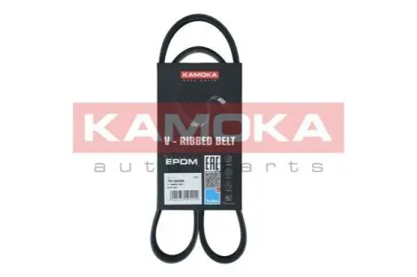 Ремінь генератора Citroen Jumper/Fiat Ducato 2.8HDi/JTD 00- (ALT,WP) KAMOKA 7016029 Купити в Україні