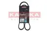 Фото Ремінь генератора Ford Fiesta V-VI/Focus III 1.2-1.6LPG 01 KAMOKA (7016034) зображення 1