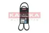 Фото Ремень клиновый 6PK1054 Fiat Doblo 1.9D KAMOKA (7016047) изображение 1