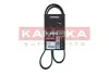 Ремінь генератора VW Golf V/VI/Passat VI/VII/Tiguan/Touran 1.4TSI/FSI/1.6 FSI 03-18 KAMOKA (7016055) зображення 1