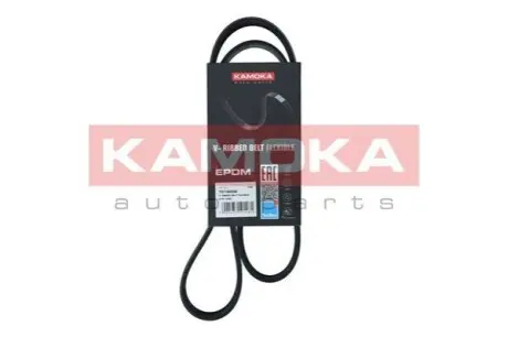 Ремінь генератора Citroen C3/C4/Peugeot 307 1.4-1.6HDi 02 KAMOKA 7016056 Купити в Україні