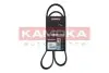 Фото Ремінь генератора Citroen Jumper/Peugeot Boxer 2.0 94- (6PK1095) KAMOKA (7016057) зображення 1