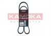 Ремень клиновый 6PK1130 Renault Kangoo 1.5 dCi 03- 7016065