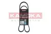 Фото Ремень клиновый 6PK1130 Renault Kangoo 1.5 dCi 03- KAMOKA (7016065) изображение 1