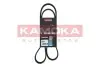 Фото Ремінь генератора Renault Kangoo 1.5 dCi KAMOKA (7016079) зображення 1
