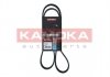Ремень клиновый 6PK1210 Renault Kangoo 1.9dTi/dCi 01- KAMOKA 7016080 (фото 1)