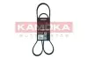 Ремінь генератора Ford Focus/Mazda 3/5/Volvo S40/V50/C30 1.8-2.4 03 KAMOKA (7016094) зображення 1
