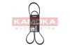 Фото Ремінь генератора Ford Transit Connect 02-13/Focus 1.8 TDCi 99-05/Toyota Avensis 03-12/Corolla 01-07 KAMOKA (7016110) зображення 1