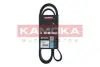 Ремінь генератора Audi A4 00-08 KAMOKA (7016127) зображення 1