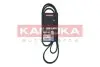 Фото Ремінь генератора Opel Astra J/K/Insignia A/B/Ford Escort/Fiesta 1.4/1.6/1.6CDTI 90 KAMOKA (7016135) зображення 1
