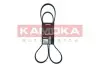 Фото Ремінь генератора Fiat Scudo/Citroen Berlingo/VW Golf KAMOKA (7016137) зображення 1
