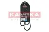 Фото Ремень клиновый 6PK1715 Ford Connect 1.8 TDCI KAMOKA (7016147) изображение 1