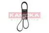 Фото Ремінь генератора Peugeot Expert/Citroen Jumpy 1.9D/TD 96-/2.0HDI 00 KAMOKA (7016151) зображення 1