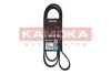 Ремінь генератора VW LT 2.5TDI 96-01/Peugeot Expert 1.9D/2.0HDI 98 KAMOKA (7016154) зображення 1