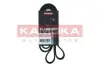 Ремінь генератора Ford Mondeo IV 2.0TDCI 07-15/Volvo S80/V70 2.0D/TDi 07-15 KAMOKA (7016172) зображення 1