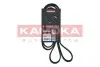 Ремінь генератора Ford Focus 1.4/1.6 16V 98-04 KAMOKA (7016184) зображення 1