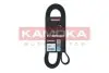 Ремінь генератора MB C-class (W203) 00-02 KAMOKA (7016204) зображення 1