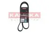 Фото Ремень клиновый 7PK1153 Renault Master/Opel Movano 2.5 dCi 03- KAMOKA (7017008) изображение 1