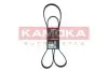 Ремінь генератора Hyundai H-1/Kia Sorento 2.5CRDi 08 KAMOKA (7017025) зображення 1