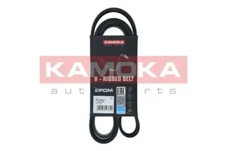 Ремень клиновый 7PK1749 Renault Master 2.3 dCi 10- KAMOKA 7017027