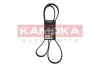 Фото Ремінь генератора Nissan Qashqai 1.6 07-13 (7PK1815) KAMOKA (7017032) зображення 1