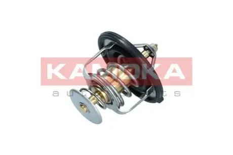 Термостат KAMOKA 7710136 Купити в Україні