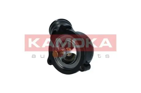 Термостат KAMOKA 7710263 Купити в Україні