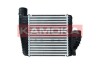 Charge Air Cooler 7750018