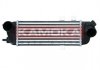 INTERCOOLER KAMOKA 7750056 (фото 1)