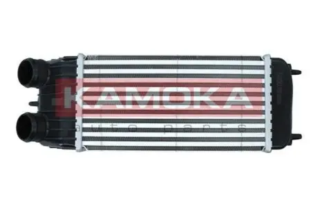 INTERCOOLER KAMOKA 7750068 Купить в Украине
