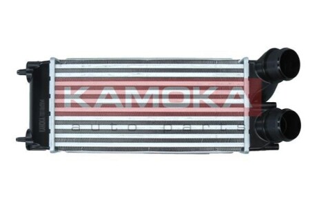 Charge Air Cooler KAMOKA 7750071 (фото 1)