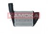 Charge Air Cooler KAMOKA 7750084 (фото 1)