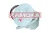 Фото Насос паливний електричний KAMOKA (8400054) зображення 4