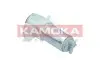Фото Паливний насос KAMOKA (8410001) зображення 4