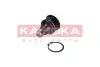 Фото Опора кульова (передня/знизу) Nissan Qashqai/X-Trail 07-/Murano 03- (d=20mm) KAMOKA (9040050) зображення 2
