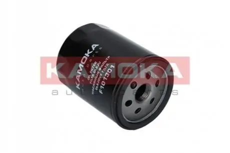 Фильтр масляный KAMOKA F101301 Купить в Украине
