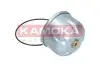 Фото Фильтр масляный KAMOKA (F115001) изображение 2